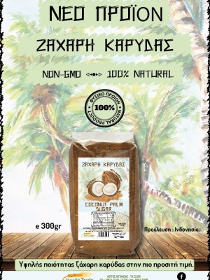 ΝΕΟ ΠΡΟΪΟΝ - ΖΑΧΑΡΗ ΚΑΡΥΔΑΣ 300g