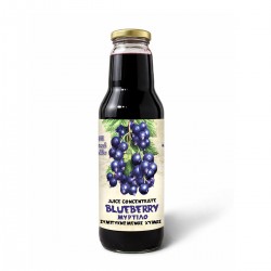 Συμπυκνωμένος Χυμός Blueberry Χ/Ζ 