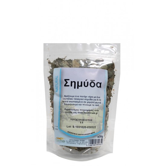 Σημύδα ΒΟΤΑΝΑ