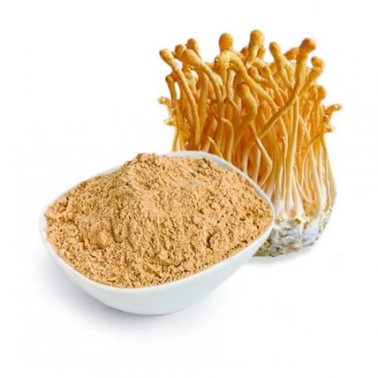 Cordyceps SUPERFOODS