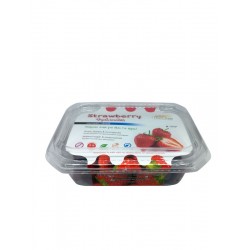 Φράουλα (Osmotic) Χ/Ζ