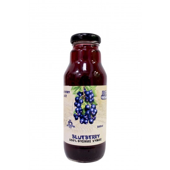 Χυμός Blueberry Χ/Ζ 300ml