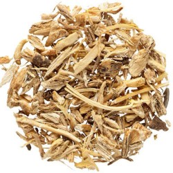 Αγγελική Ρίζα