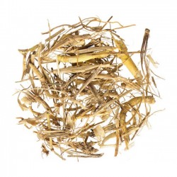 Αγριάδα Ρίζα