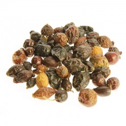 Άγριο Τριαντάφυλλο Καρπός