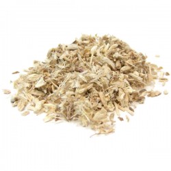 Αλθαία Ρίζα