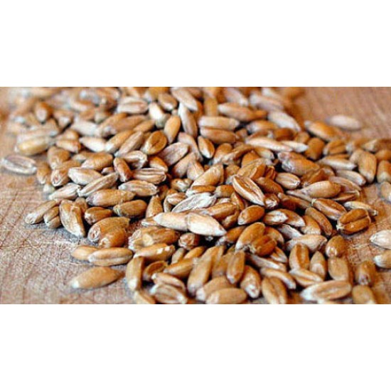 Αλεύρι Δίκοκκο Λευκό (Συσκευασία 25kg) ΑΛΕΥΡΑ