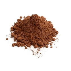 Reishi Mushroom Powder (Γανόδερμα)