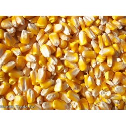 Καλαμπόκι Pop Corn