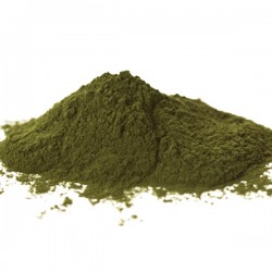 Kelp Powder