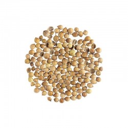 Κόλιανδρο Ολόκληρο