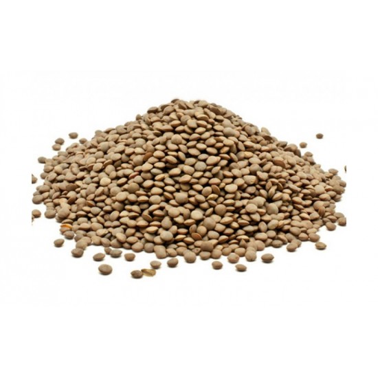 Φακές Μέτριες Γρεβενών - Βιολογικές