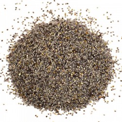 Παπαρουνόσπορος