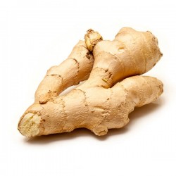 Πιπερόριζα Ολόκληρη