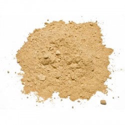 Πιπερόριζα Τριμμένη