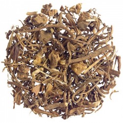 Βαλεριάνα Ρίζα